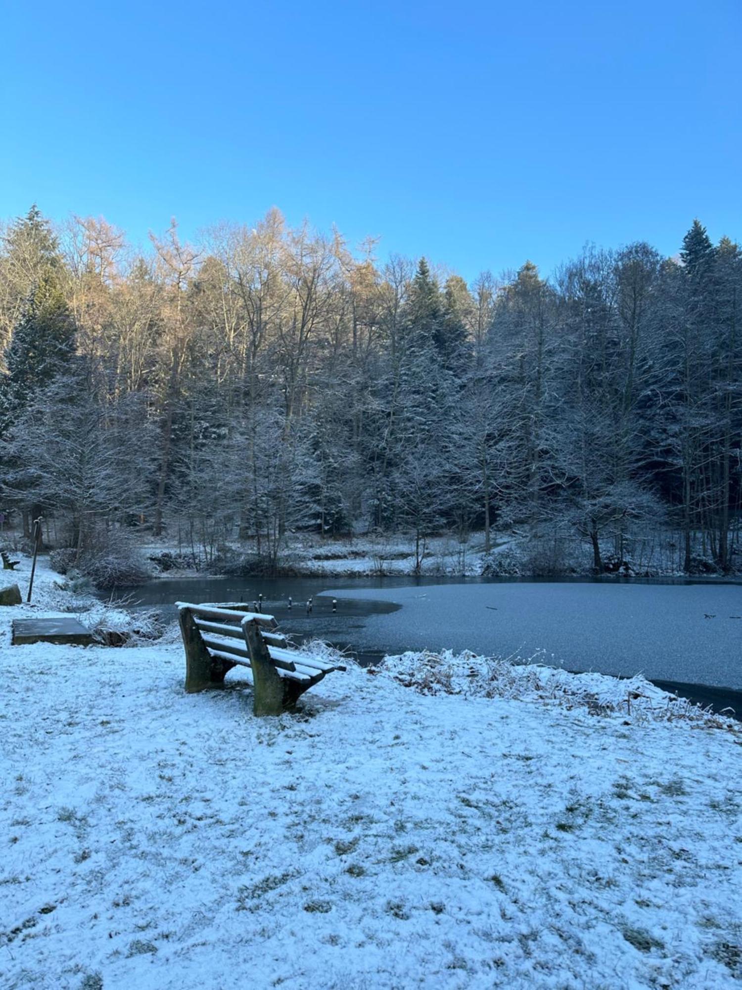 Fewo “Ruhige Momente” In Waldkirch Zewnętrze zdjęcie