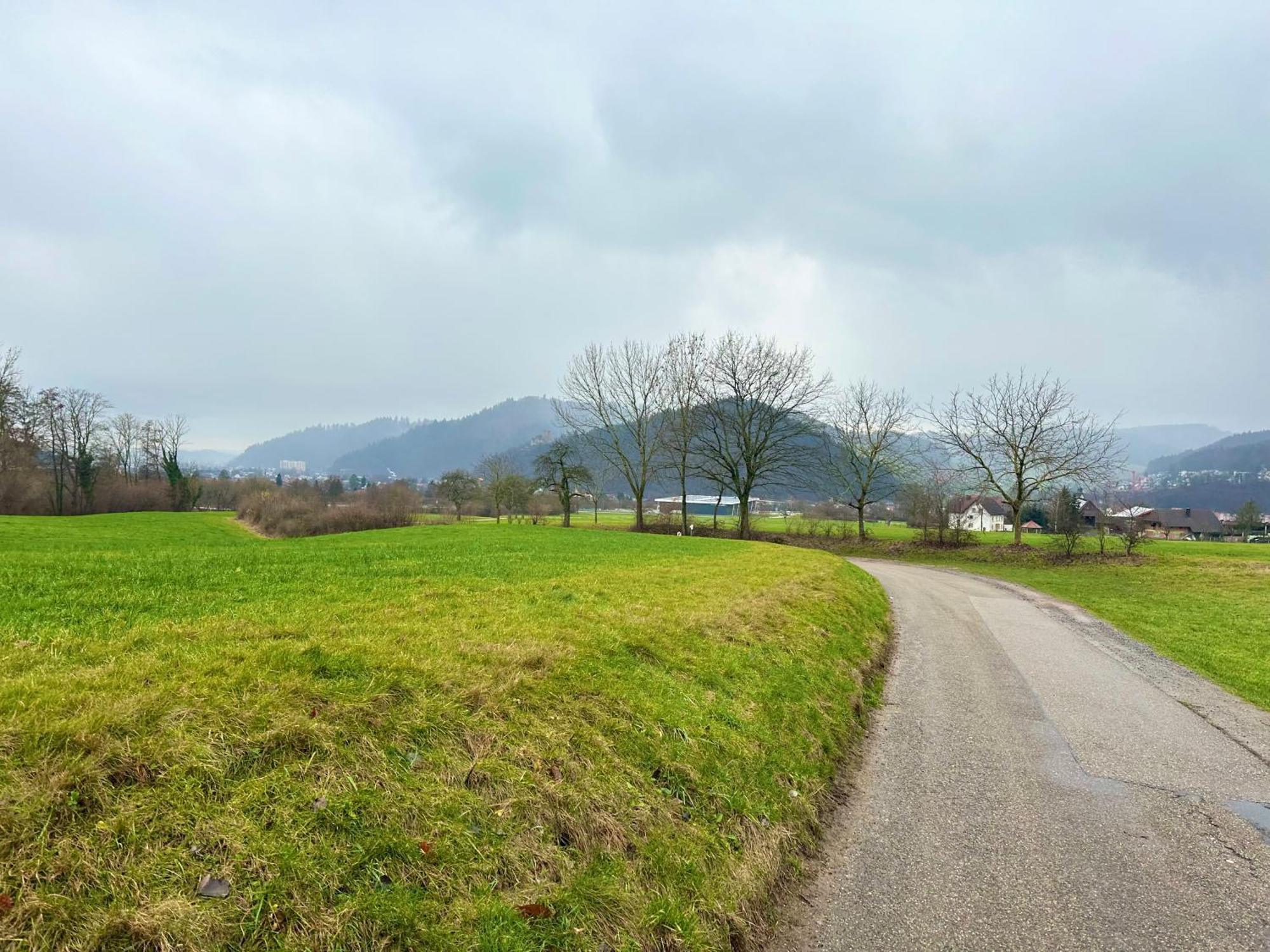 Fewo “Ruhige Momente” In Waldkirch Zewnętrze zdjęcie